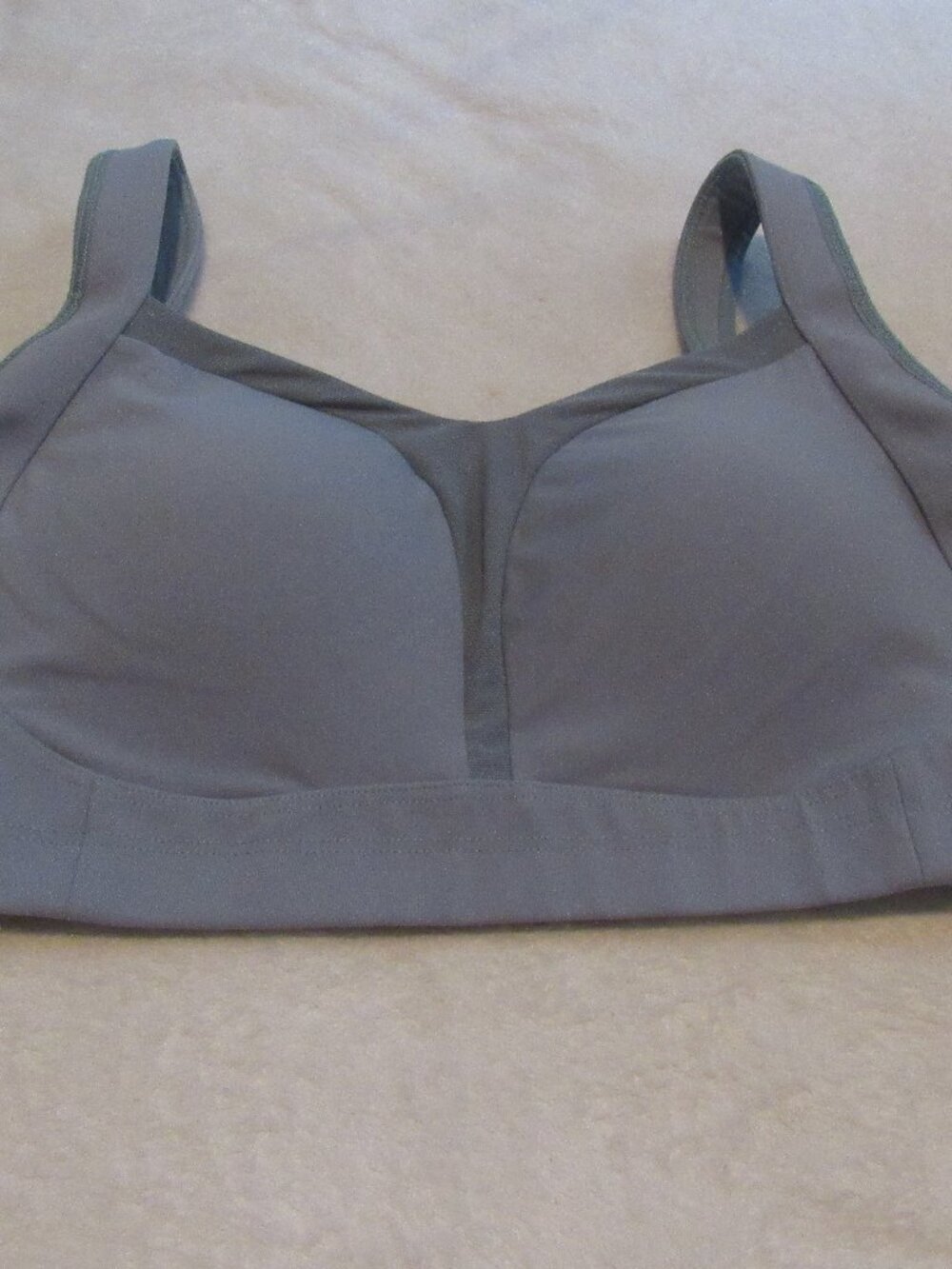 Lululemon TaTa Tamer Blue 38DD  NWT